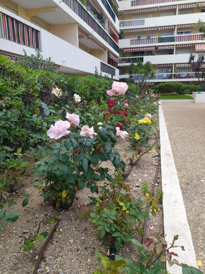 Eden Golfe Plages A Pieds Parking Prive Vallauris Esterno foto