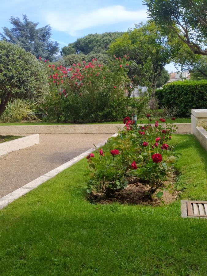 Eden Golfe Plages A Pieds Parking Prive Vallauris Esterno foto